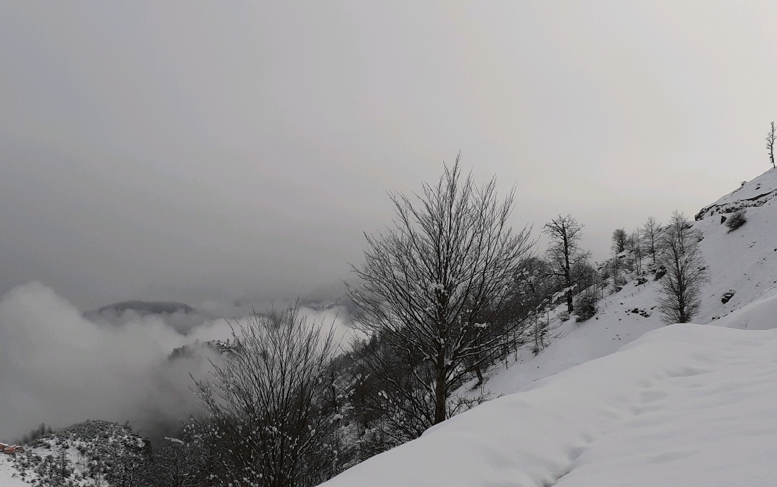 بارش برف همچنان در کوهستان‌های گیلان