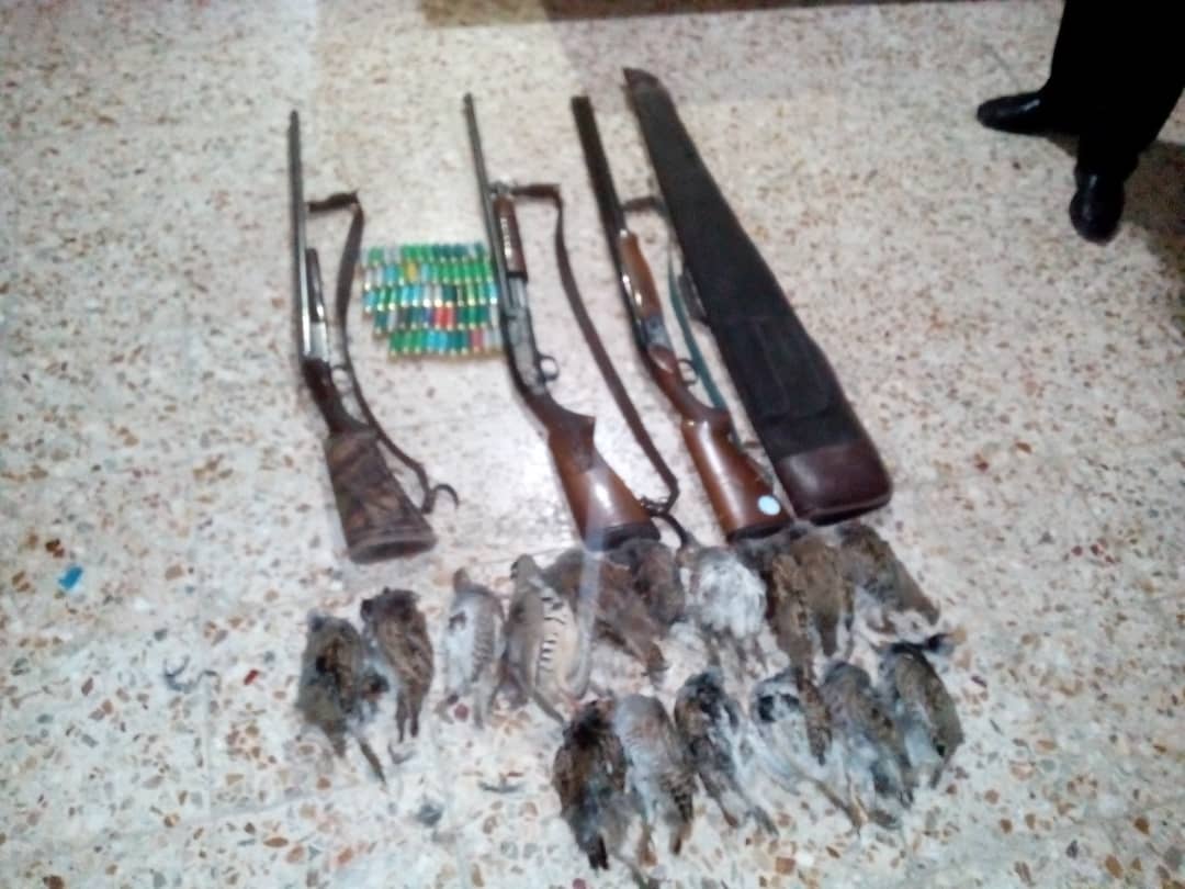 رييس اداره حفاظت محيط زيست شهرستان سياهكل اعلام کرد: دستگیری متخلفین شکار ۱۶ قطعه کبک به همراه ۳ قبضه سلاح در سیاهکل