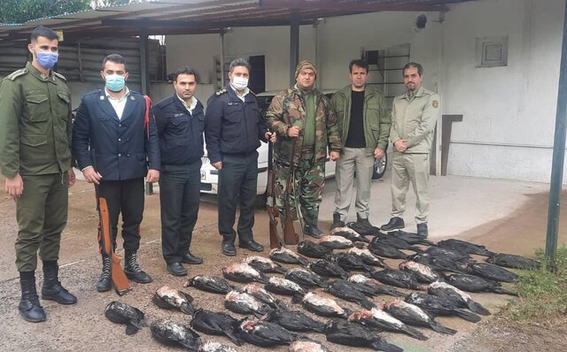 قتل عام پرندگان مهاجر در گیلان