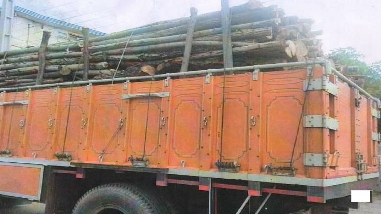 کشف ۱۶ تن چوب جنگلی قاچاق در اتوبان سیاهکل به سنگر