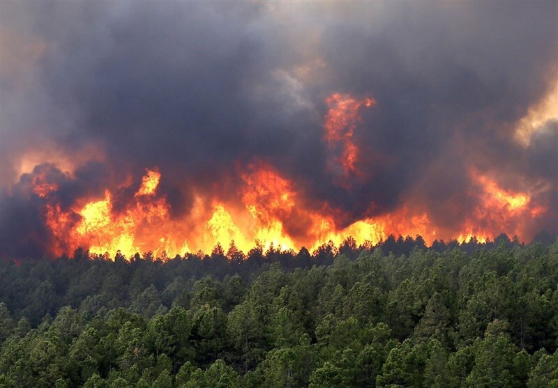 هشدار حفاظت محیط زیست گیلان، خطر آتش سوزی در مناطق جنگلی و تالابی