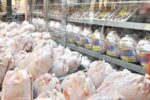 افزون بر ۷۴ هزار تن گوشت مرغ در گیلان تولید شد