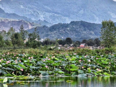 حفظ تالاب حاجی‌آباد لاهیجان با توسعه طرح گردشگری