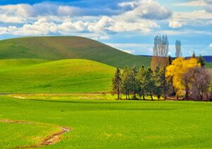 کاهش ابر و افزایش دمای یک روزه در گیلان