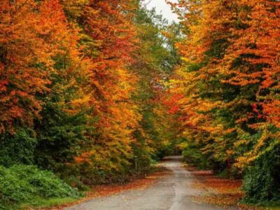 خروج تدریجی سامانه هوای بارشی از آسمان گیلان