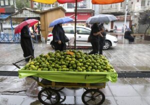 بارش باران از عصر فردا در گیلان