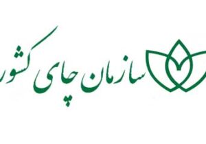 درخواست نمایندگان از رئیس‌جمهور برای توقف واگذاری سازمان چای به بخش غیردولتی