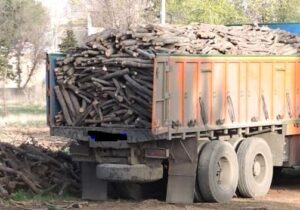 کشف ۱۵ تن چوب جنگلی قاچاق در شهرستان آستانه اشرفیه