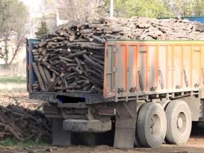 کشف ۱۵ تن چوب جنگلی قاچاق در شهرستان آستانه اشرفیه