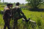 برخورد قاطع دستگاه قضا با زمین‌خواران در شهرستان لنگرود