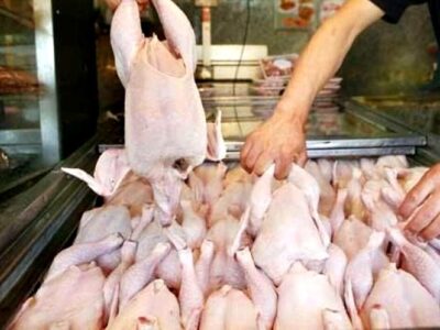 جریمه ۴۳ میلیارد تومانی متخلفان عرضه مرغ گرم در گیلان