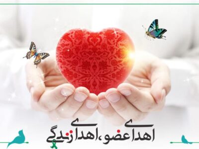 جوان لنگرودی با اهدای عضو به دیگران زندگی بخشید