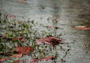 کاهش دما و بارندگی از ساعات پایانی امشب