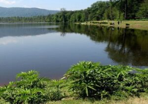 اجرای عملیات لایروبی ۵۰۰ هکتار از آب بندانهای گیلان در سال جاری