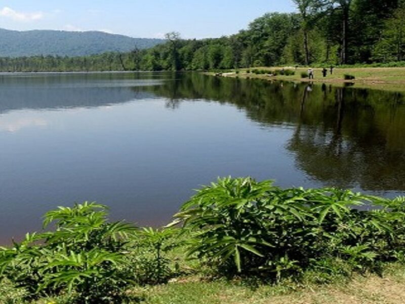 اجرای عملیات لایروبی ۵۰۰ هکتار از آب بندانهای گیلان در سال جاری اجرای عملیات لایروبی ۵۰۰ هکتار از آب بندانهای گیلان در سال جاری