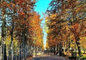 درخشش آفتاب پاییزی در گیلان تا اواسط هفته آینده