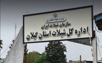 مدیرکل جدید شیلات گیلان منصوب شد