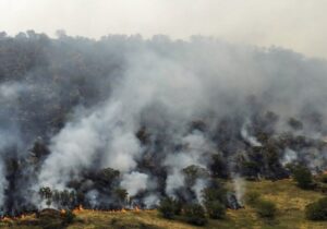 وزش باد گرم در گیلان از ظهر شنبه و احتمال آتش سوزی