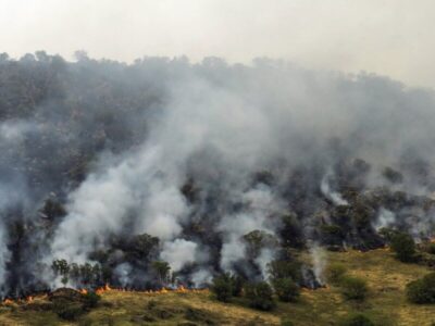 وزش باد گرم در گیلان از ظهر شنبه و احتمال آتش سوزی
