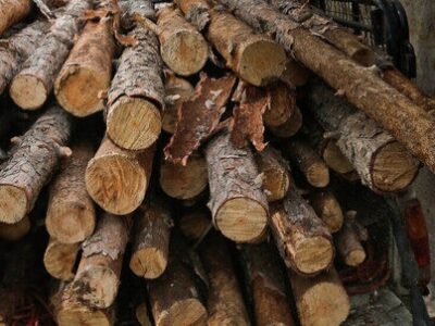 کشف ۱۸ تن چوب قاچاق در غرب گیلان