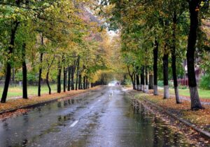 پس از یک ماه پاییز گیلان بارانی میشود