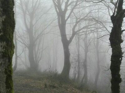 فوت کوهنورد لاهیجانی در مسیر «جنگل تاریک»