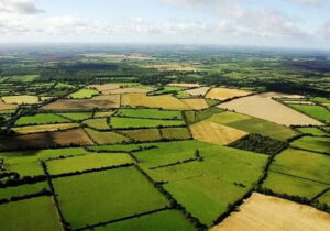 رفع تصرف ۱.۷ هکتار از اراضی ملی در لنگرود