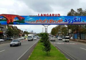 آیا «توانمندی» ژنتیکی است یا از طریق نام خانوادگی منتقل میشود؟