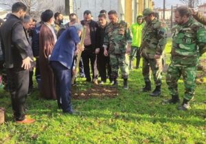 کاشت ۱۷ میلیون اصله نهال در گیلان