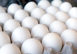 کشف حدود ۳۰ هزار تخم‌مرغ فاقد مجوز در سیاهکل