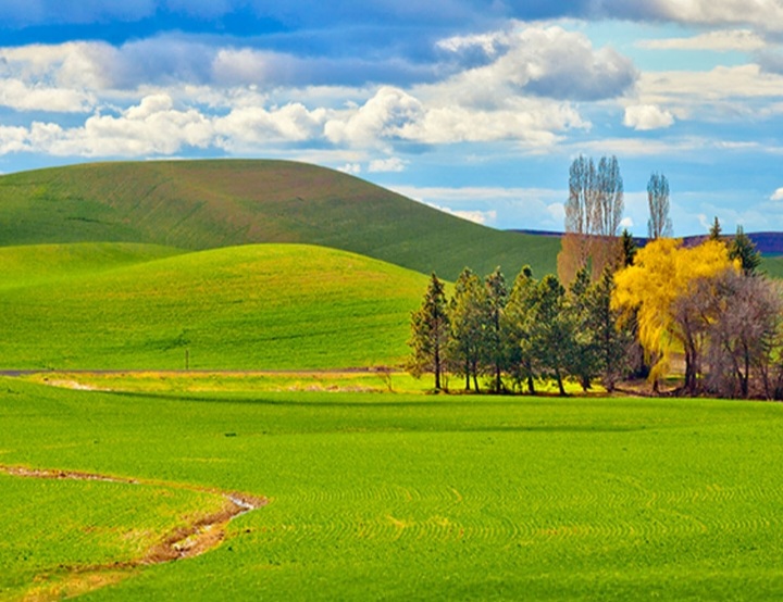هوای گیلان ۶ درجه گرمتر می شود