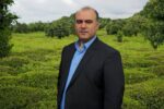 درخواست سرپرست فرمانداری لنگرود برای اخذ ضمانت از کارخانه داران چای بدحساب