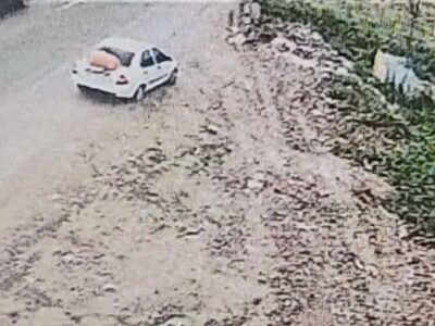 ضبط تصاویر متخلفان زیست محیطی با دوربین‌های نظارتی در آستانه اشرفیه