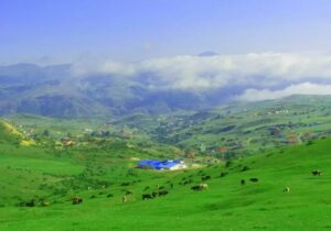 فرصت ۲ هفته‌ای میراث فرهنگی گیلان به کارخانه سیمان دیلمان