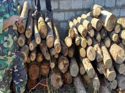 دستگیری ۲۱۹ متخلف حوزه منابع طبیعی و آبخیزداری گیلان