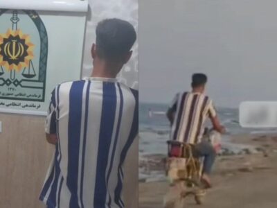 شناسایی عامل حیوان آزاری در تالش؛ متهم ۲۸ ساله به جرم خود اعتراف کرد