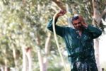 تداوم گرمای شدید گیلان تا شنبه هفته آینده