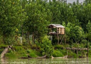 همکاری قضایی و اجرایی برای حفاظت از پارک ملی بوجاق کیاشهر