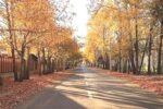 افزایش ۴ تا ۸ درجه ای دما در گیلان در پی وزش باد جنوبی