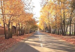 افزایش ۴ تا ۸ درجه ای دما در گیلان در پی وزش باد جنوبی