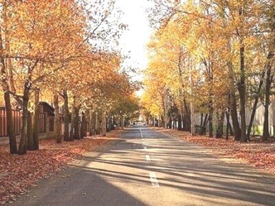 افزایش ۴ تا ۸ درجه ای دما در گیلان در پی وزش باد جنوبی