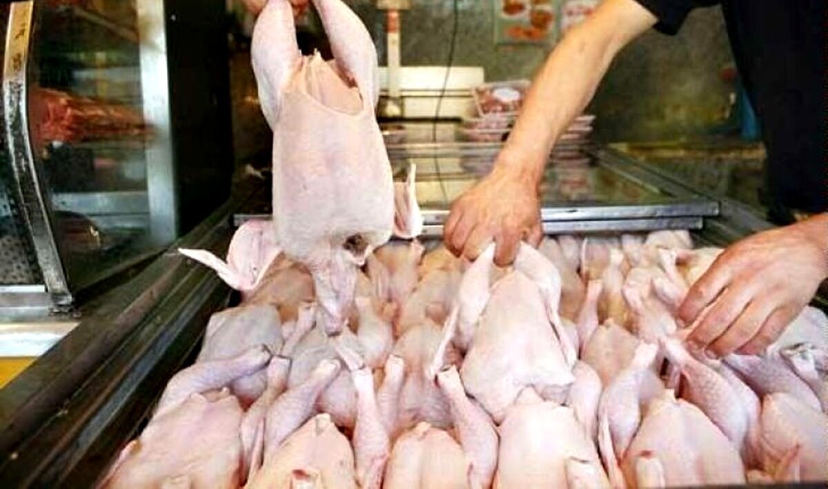 جریمه ۴۳ میلیارد تومانی متخلفان عرضه مرغ گرم در گیلان جریمه ۴۳ میلیارد تومانی متخلفان عرضه مرغ گرم در گیلان