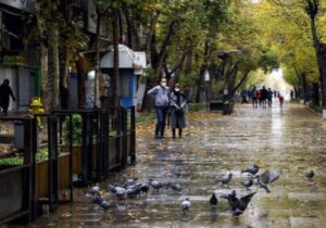 هوای گیلان سرد و مه آلود می شود