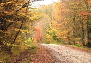 پایداری هوای گیلان در روزهای آینده