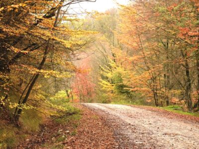 پایداری هوای گیلان در روزهای آینده