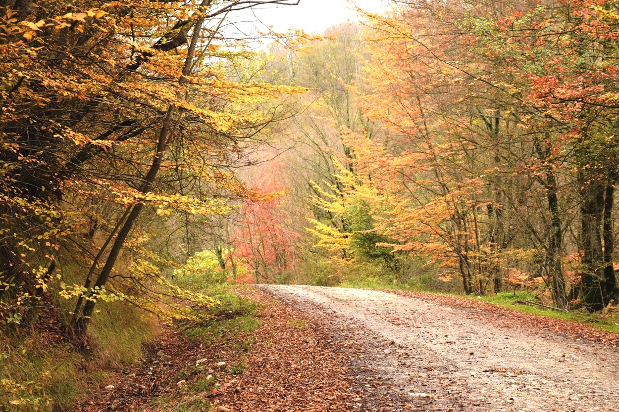 پایداری هوای گیلان در روزهای آینده پایداری هوای گیلان در روزهای آینده