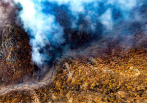 ۱۰ هکتار از جنگل های گیلان در آتش سوخت