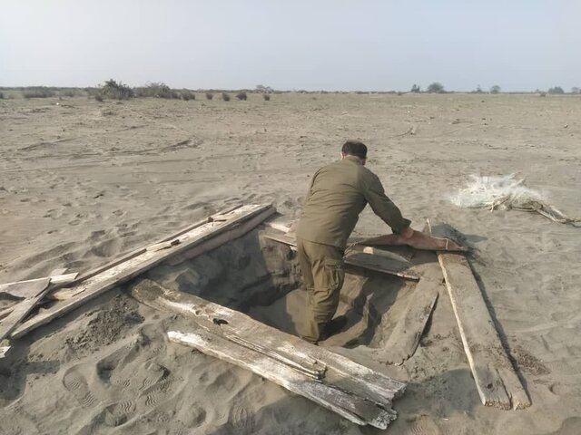 جمع آوری تلههای میلیاردی شکار پرندگان در پارک ملی بوجاق جمع آوری تلههای میلیاردی شکار پرندگان در پارک ملی بوجاق