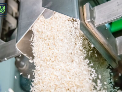 ظرفیت تبدیل برنج در گیلان به ۱.۲ میلیون تن رسید