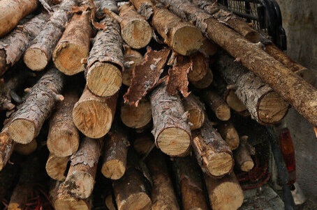 کشف ۱۸ تن چوب قاچاق در غرب گیلان